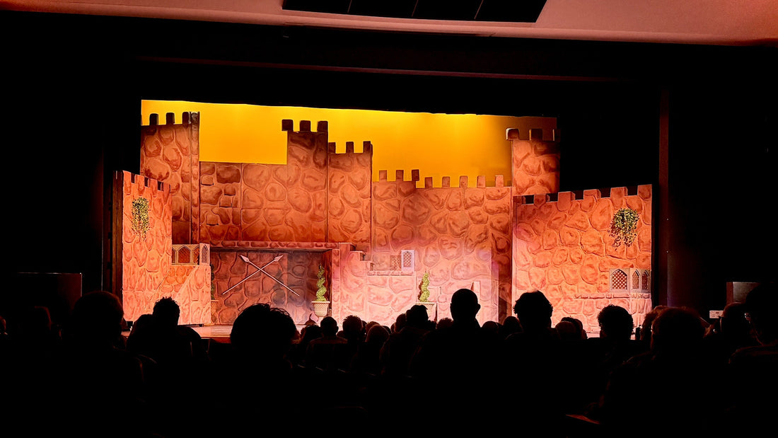 Expert Sound System Design for West Boca High School's Musical Production of 'Once Upon a Mattress'